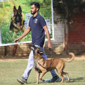 dog training in Hyderabad 